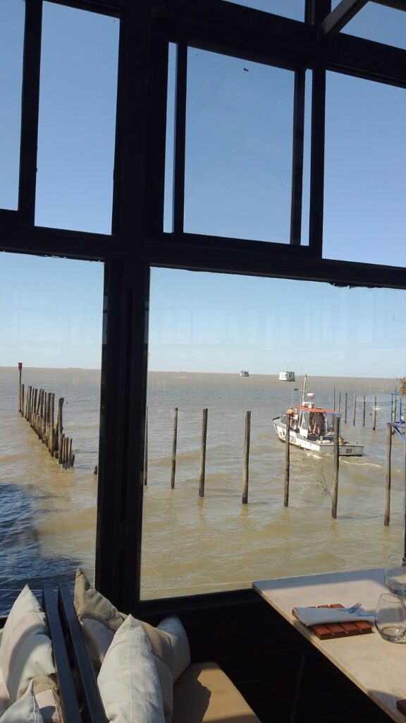 Costanera3