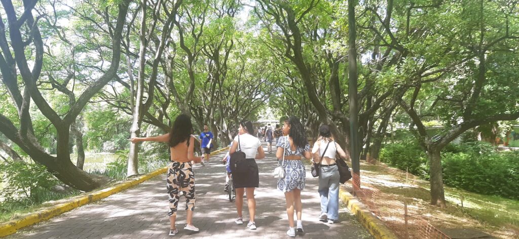 Reserva (4)