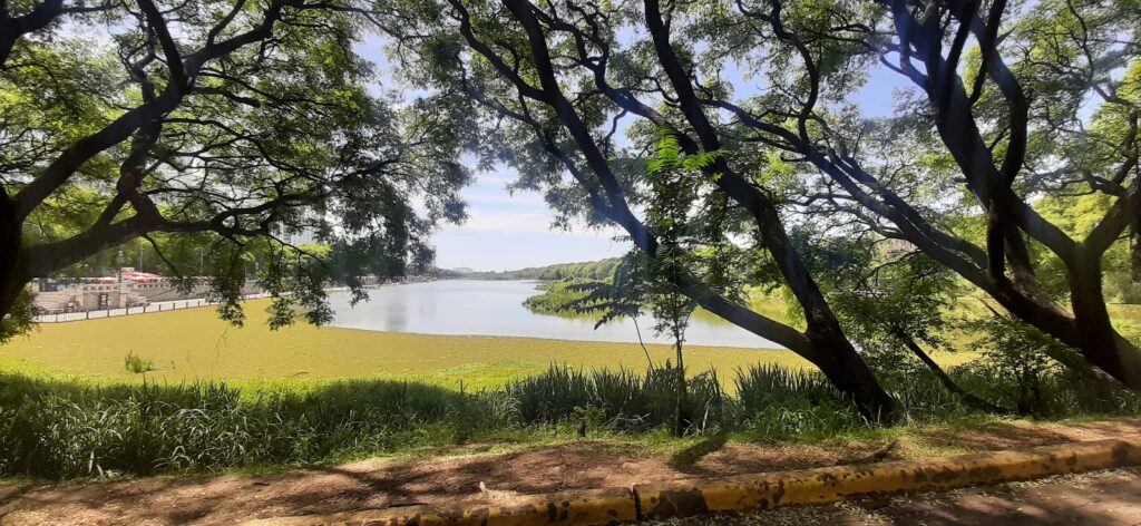 Reserva (8)
