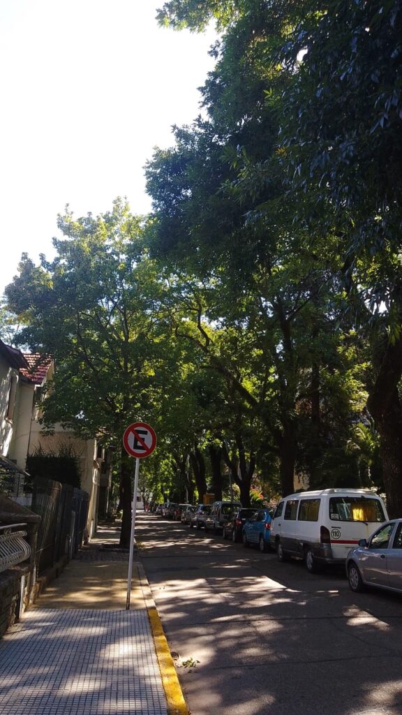 Cortazar (3)