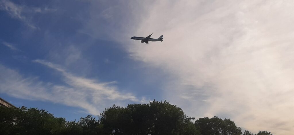 Costanera (50)