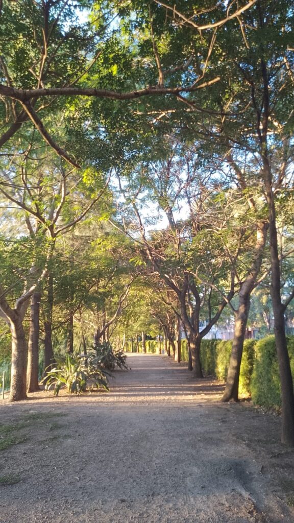 Parque Norte (5)