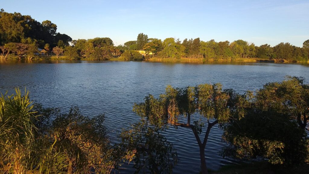 Parque Norte (6)