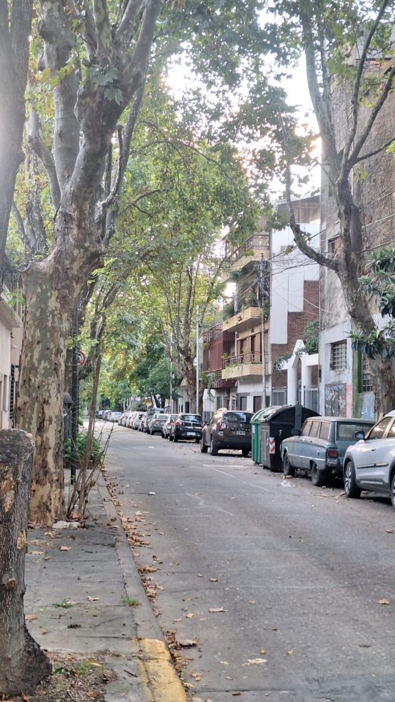 Parque Chas_ (4)