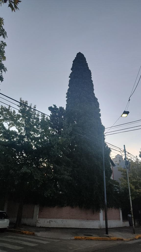 487879929_1578720996325472_2521182470786457679_n