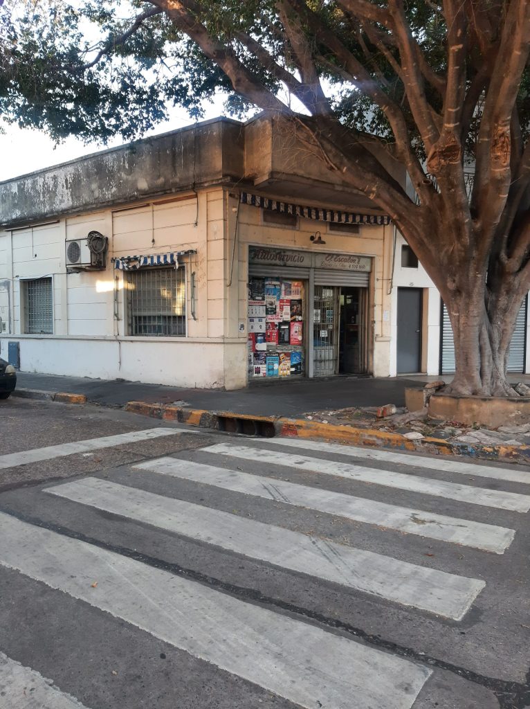 Parque Chas (31)