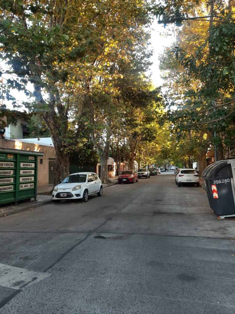 Parque Chas (34)